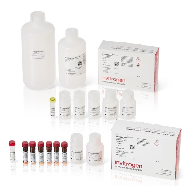 ViewRNA™ Colorimetric Tissue 1-Plex Kits