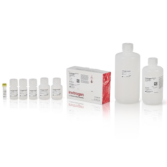 ViewRNA&trade; Colorimetric Tissue Core Kit and Individual Modules
