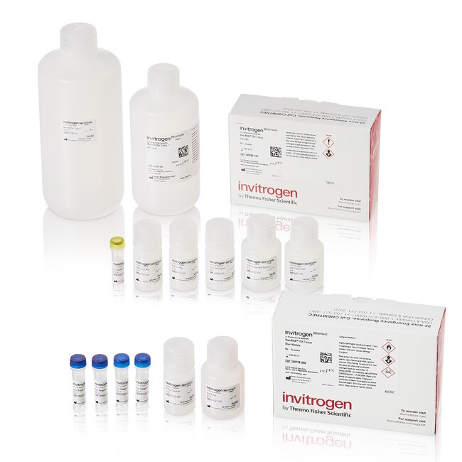 ViewRNA™ Colorimetric Tissue 1-Plex Kits