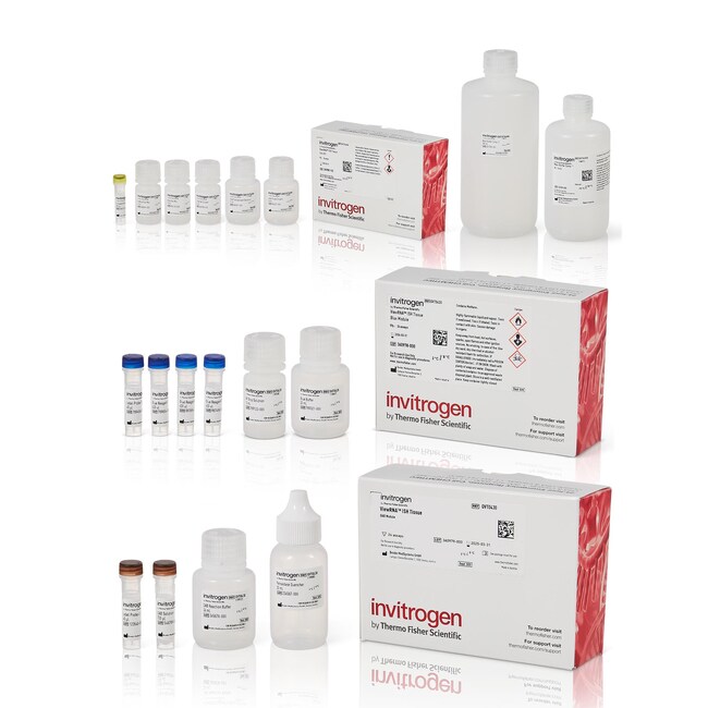 ViewRNA™ Colorimetric Tissue 2-Plex Kits