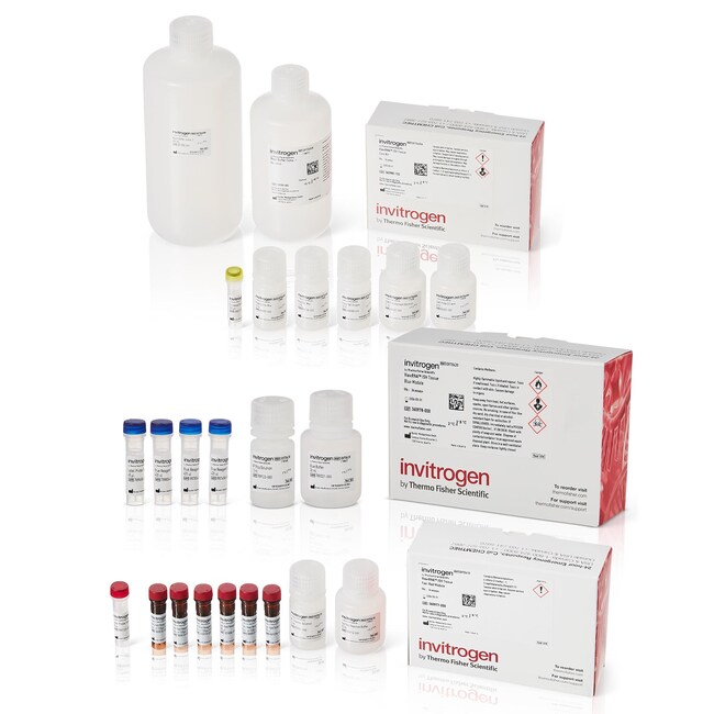 ViewRNA™ Colorimetric Tissue 2Plex Kits