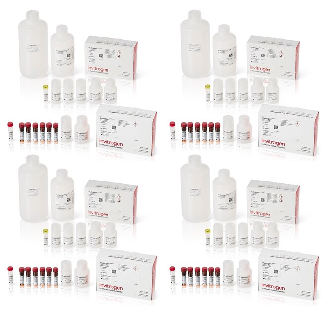 ViewRNA™ Colorimetric Tissue 1-Plex Kits