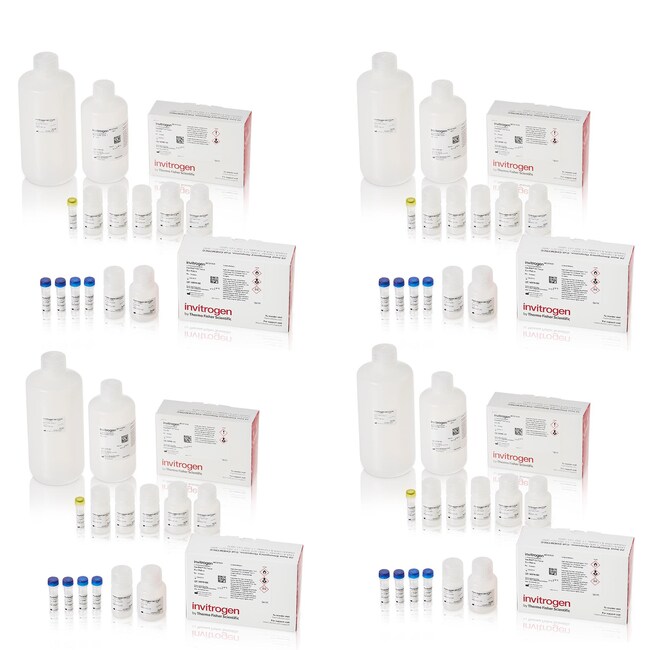 ViewRNA™ Colorimetric Tissue 1-Plex Kits