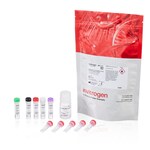 ReadyLabel&trade; Antibody Labeling Kits
