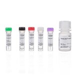 ReadyLabel&trade; Antibody Labeling Kits