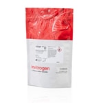 ReadyLabel&trade; Antibody Labeling Kits