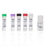 ReadyLabel&trade; Antibody Labeling Kits