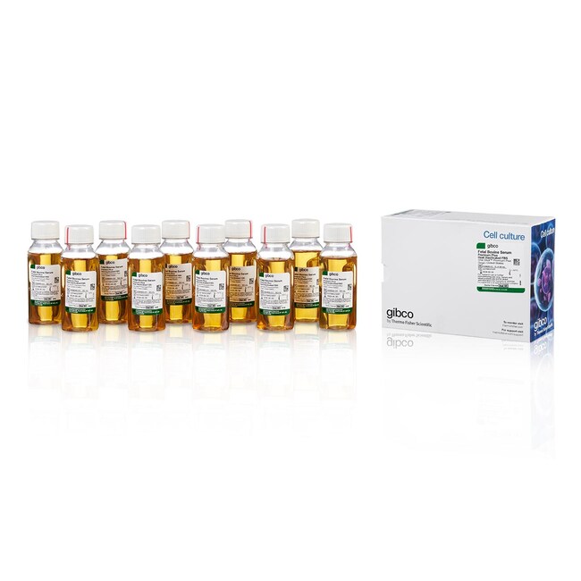 Fetal Bovine Serum, Premium Plus