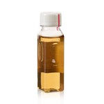 Fetal Bovine Serum, Premium Plus