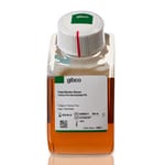 Fetal Bovine Serum, Premium Plus