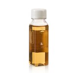 Fetal Bovine Serum, Premium Plus