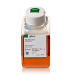Fetal Bovine Serum, Premium Plus