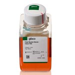 Fetal Bovine Serum, Value