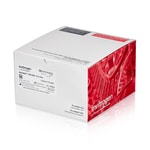 NuPAGE&trade; Bis-Tris Mini Protein Gels, 10%, 1.0&ndash;1.5 mm