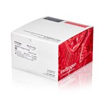 NuPAGE&trade; 12%，Bis-Tris，1.0 mm，小型蛋白凝胶