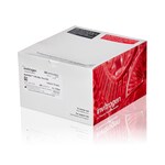 NuPAGE&trade; 12%，Bis-Tris，1.0 mm，小型蛋白凝胶