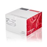 NuPAGE&trade; 3-8%，Tris-乙酸，1.0&ndash;1.5 mm，小型蛋白凝胶