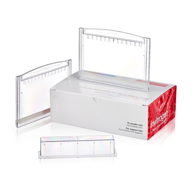 Novex&trade; Tris-Glycine Plus Midi Protein Gels, 4 to 12%, 1.0 mm