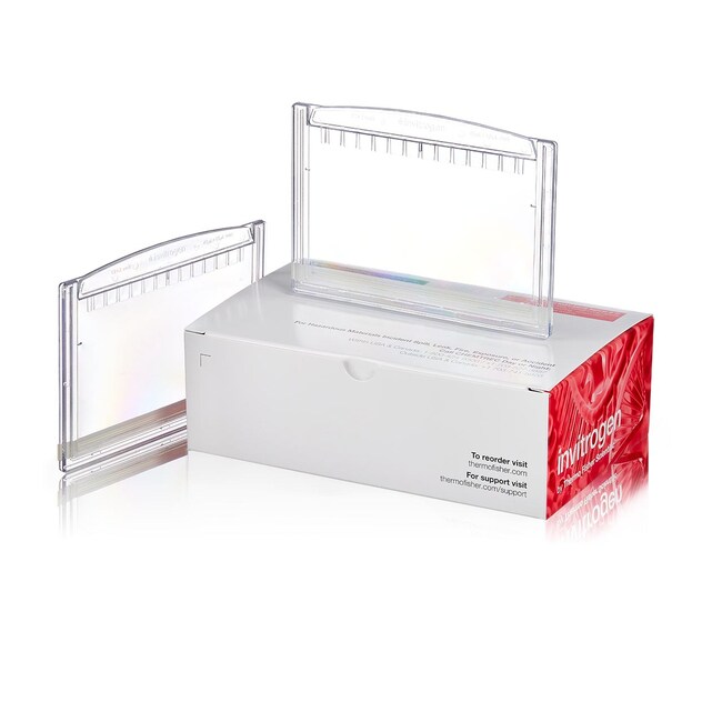 Novex&trade; Tris-Glycine Plus Midi Protein Gels, 8 to 16% ,1.0 mm