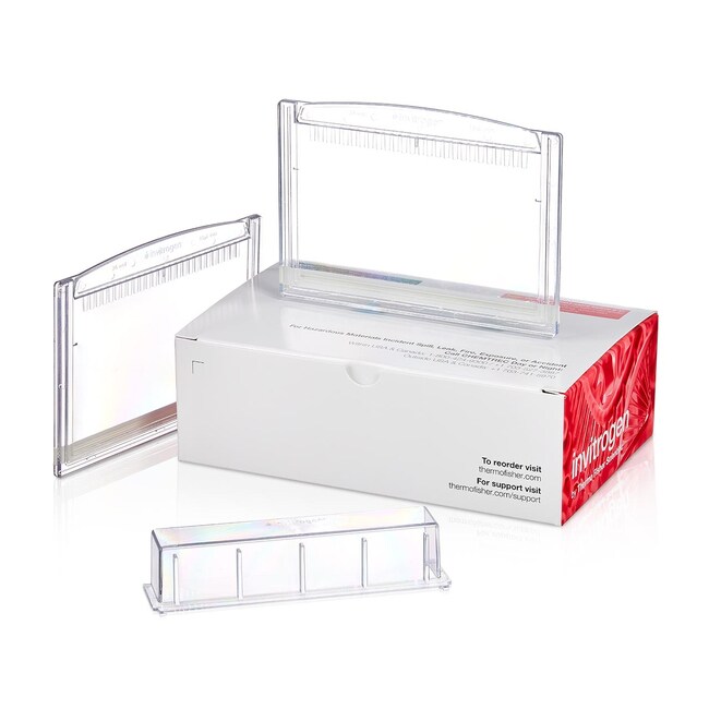 Novex&trade; 4-12% Tris-甘氨酸 Plus，1.0 mm，中型蛋白凝胶