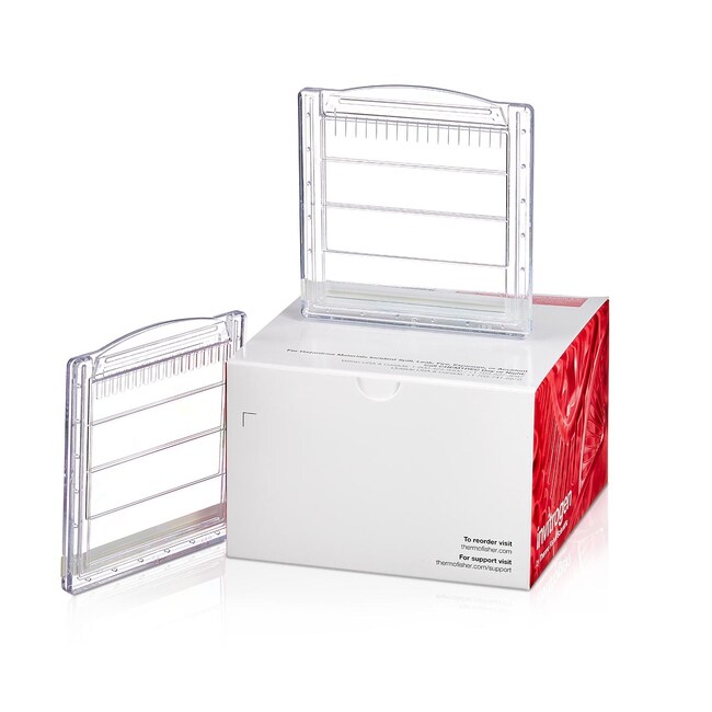 Bolt™ 4-12%,Bis-Tris,1.0 mm,小型蛋白凝胶