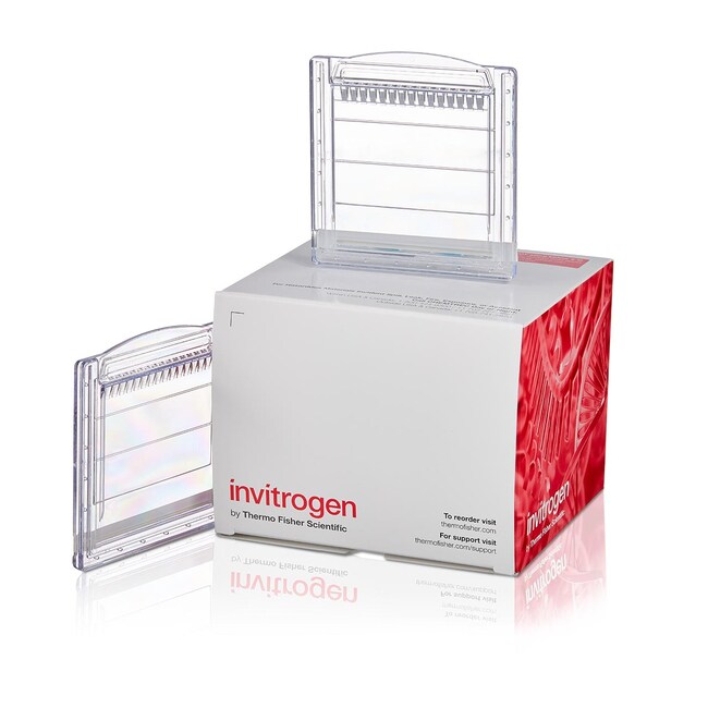 Novex&trade; WedgeWell&trade; 4% 至 20%，Tris-甘氨酸，1.0 mm，微型蛋白凝胶，10 孔