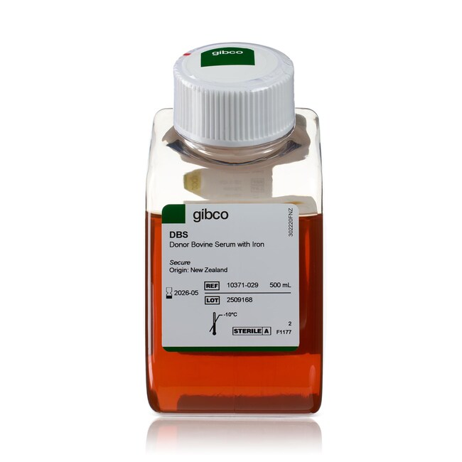 含有铁的供体牛血清，新西兰来源
