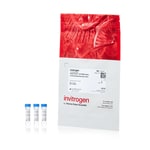 Alexa Fluor&trade; 647 NHS 酯（琥珀酰亚胺酯）