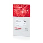 Alexa Fluor&trade; 647 NHS 酯（琥珀酰亚胺酯）