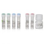 SteriSEQ™ 快速无菌检测系统