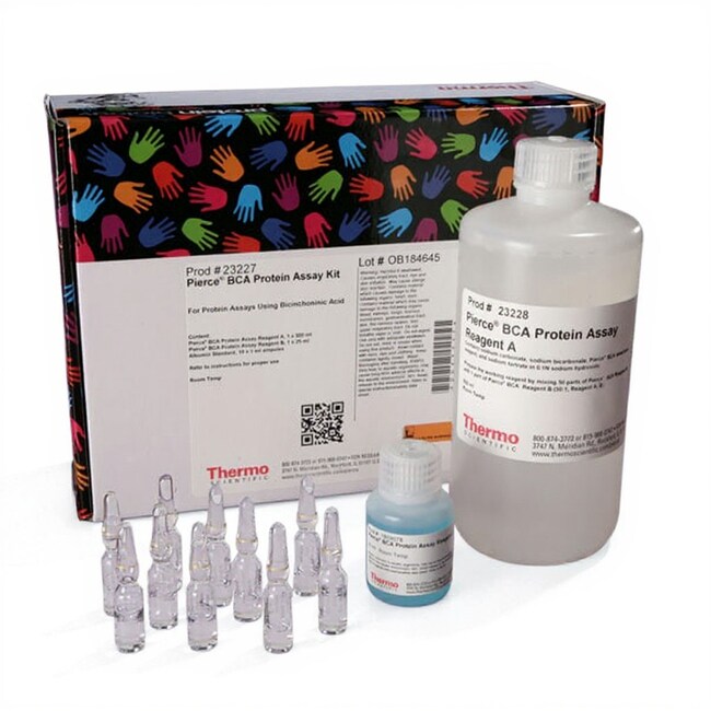 Pierce™ BCA 蛋白检测试剂盒
