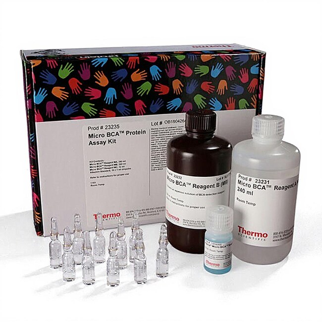 Micro BCA&trade; 蛋白检测试剂盒