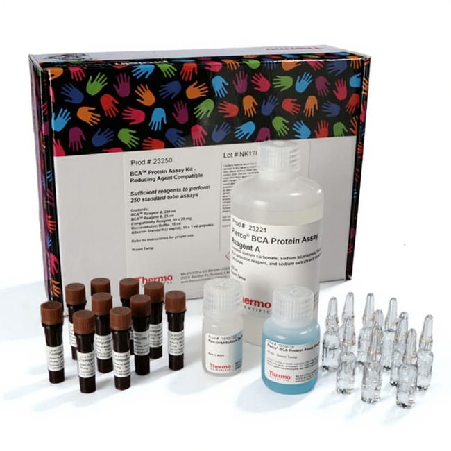 Pierce&trade; BCA 蛋白检测试剂盒 - 还原剂兼容