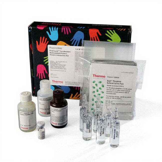 适用于生物素化蛋白的 Pierce&trade; Far-Western 蛋白免疫印迹试剂盒