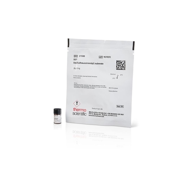 BS3 (二(磺基琥珀酰亚胺)辛二酸酯)
