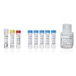 Amplex&trade; Red 过氧化氢/过氧化物酶检测试剂盒