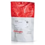 BlockAid&trade; 封闭液