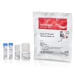 Click-iT&trade; 蛋白质反应缓冲液试剂盒