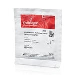 链霉素亲和素、R-藻红蛋白偶联物 (SAPE) - 1 mg/mL