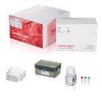 Neon&trade; NxT Electroporation System 10 &mu;L Kit with 8-Channel Tubes