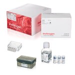 Neon&trade; NxT Electroporation System 10 &mu;L Kit with 8-Channel Tubes