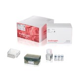 Neon&trade; NxT Electroporation System 100 &mu;L Kit with 8-Channel Tubes