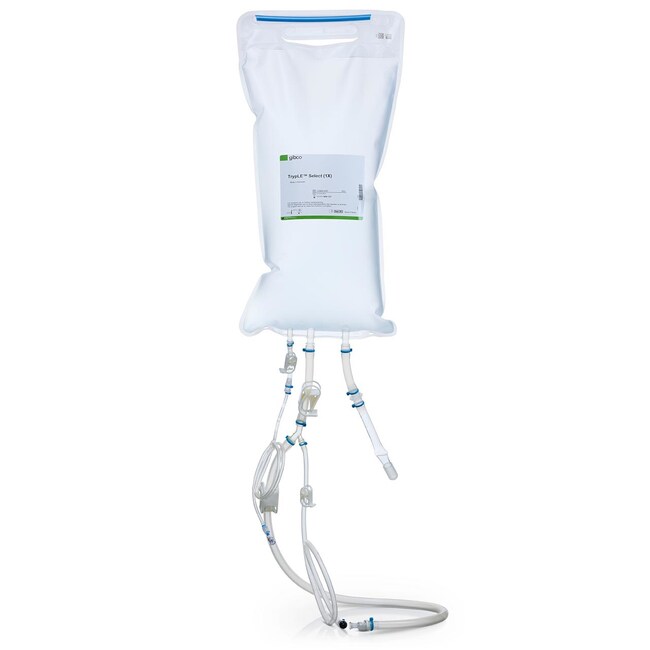 TrypLE™ Select Enzyme (1X), no phenol red