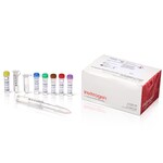 SiteClick&trade; 抗体叠氮基修饰试剂盒