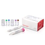 SiteClick&trade; 抗体叠氮基修饰试剂盒