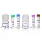 SiteClick&trade; 抗体叠氮基修饰试剂盒