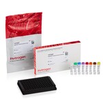 Quant-iT&trade; RiboGreen ReadyPlate