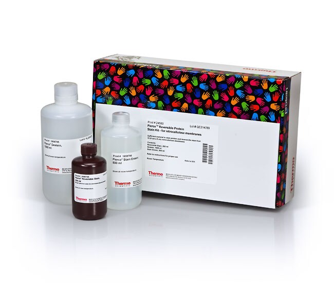用于硝酸纤维素膜的 Pierce&trade; 可逆蛋白质染色试剂盒