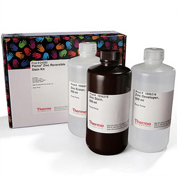 Pierce™ 锌可逆染色试剂盒1.5 L | Buy Online | Thermo Scientific
