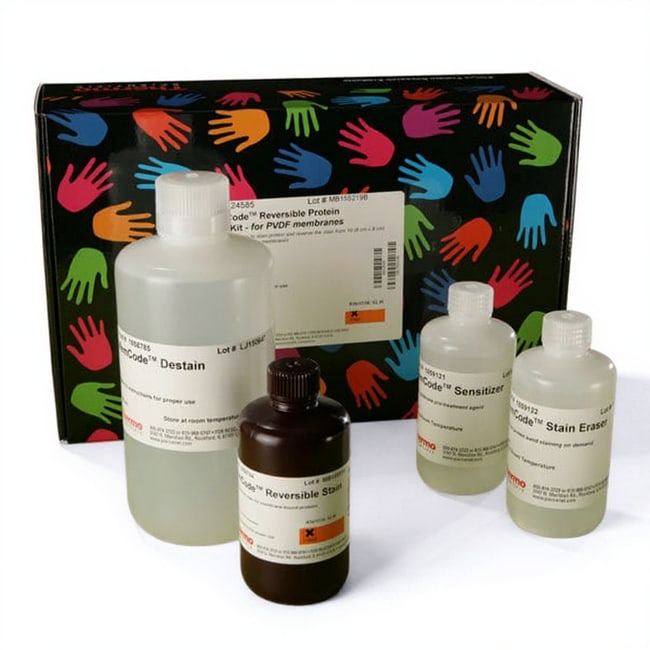 Pierce&trade; 可逆蛋白质染色试剂盒（PVDF 膜）